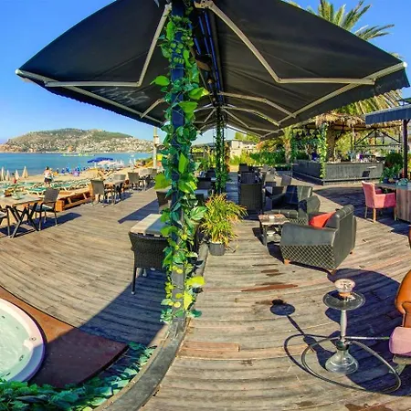 Arsi Enfi Alanya