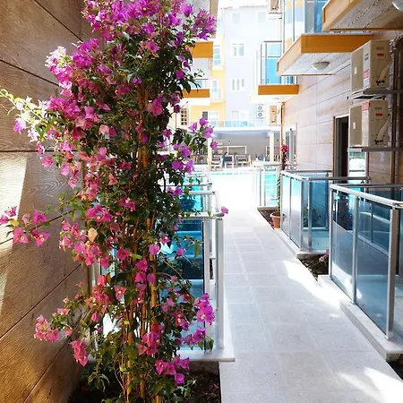 Hotel Arsi Enfi 4*