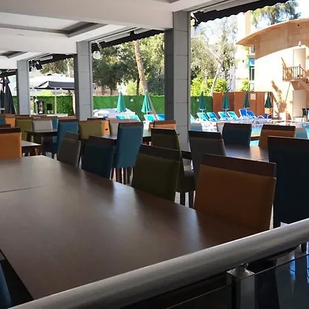 Arsi Enfi Alanya
